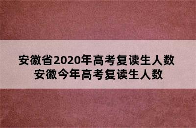 安徽省2020年高考复读生人数 安徽今年高考复读生人数